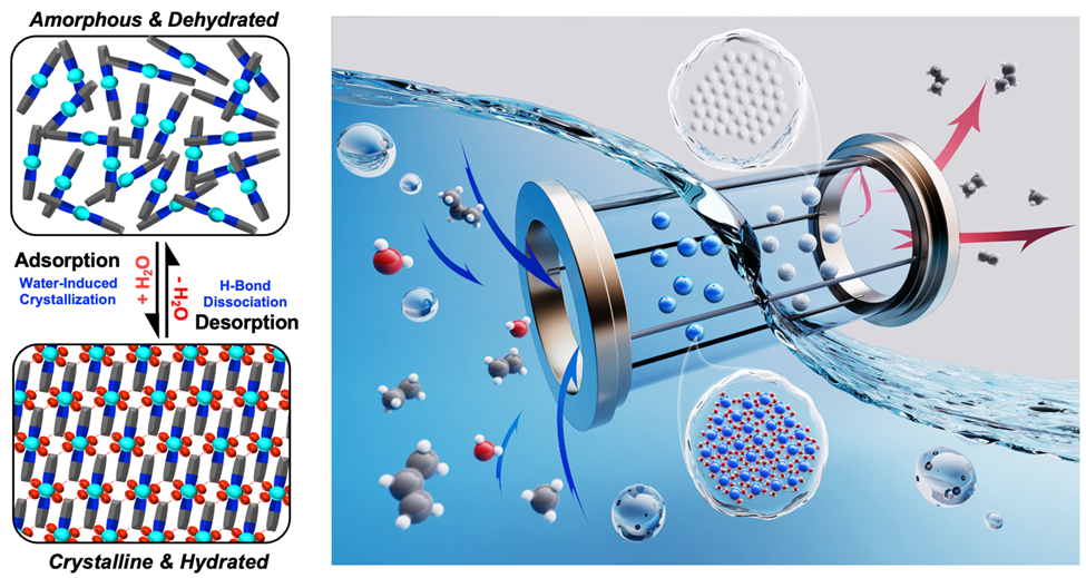 Amorphous and dehydrated, crystalline and hydrated