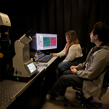 Sarah Cho and Liming Wang, graduate students in the Department of Chemistry and Chemical Biology, assess data for a research study